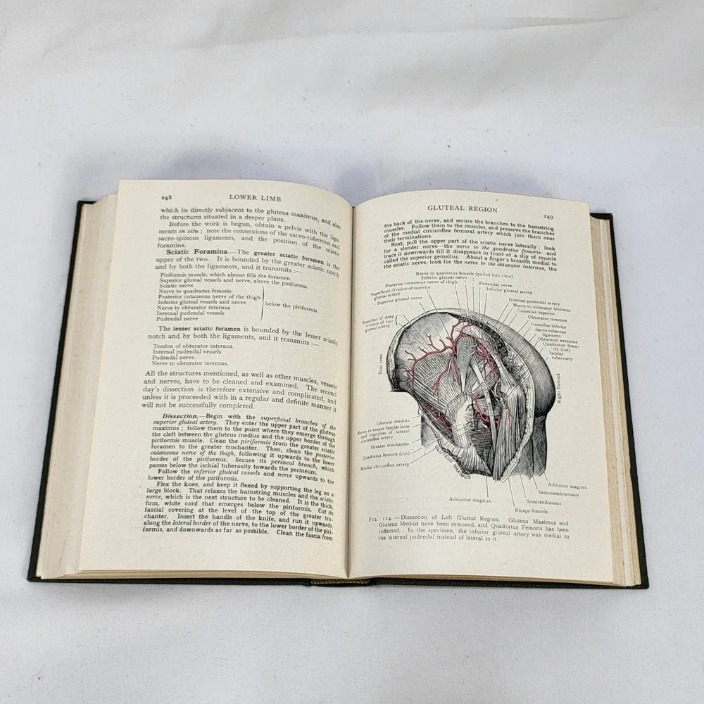 Cunningham's Manual of Practical Anatomy Vol 1 10th Ed 1940 Oxford Medical Book
